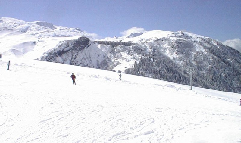 
Cliquez pour revenir au plan
